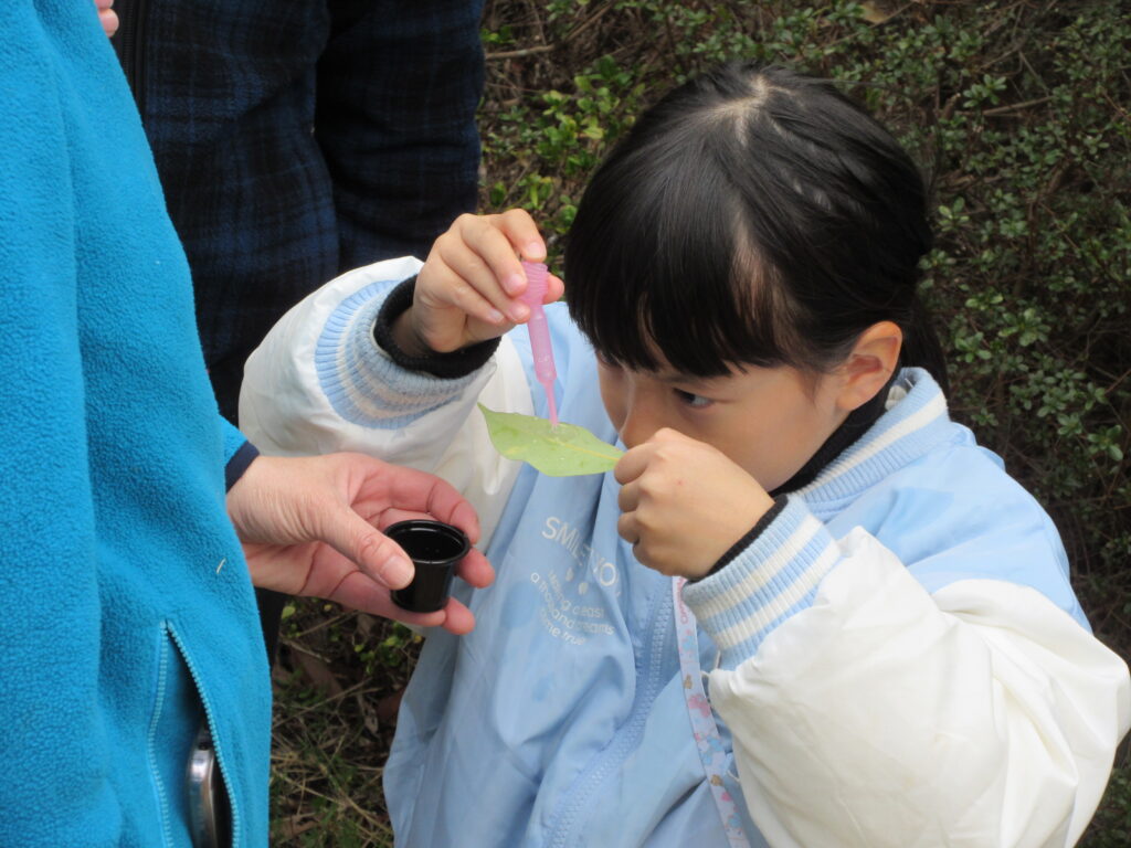 もりいき おおつか　さくらをかんじる　わーくしょっぷ