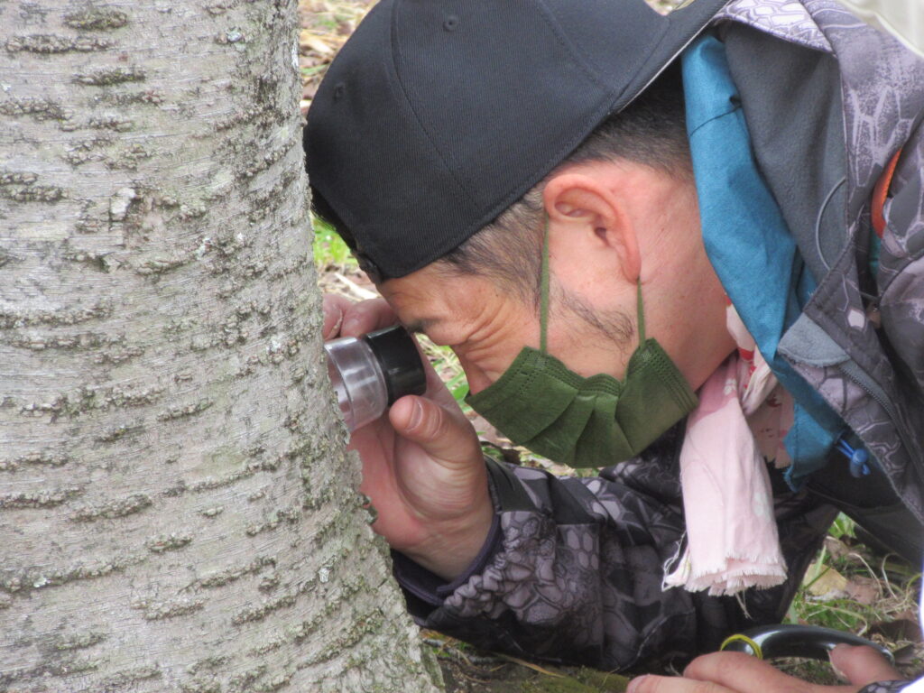 もりいき おおつか　さくらをかんじる　わーくしょっぷ